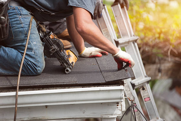 Best Affordable Roof Replacement  in Rugby, ND